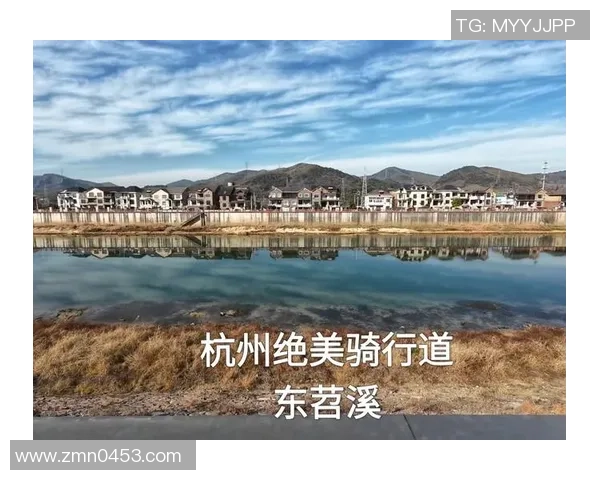 杭州滑板队耐力对比深度解析与训练策略探讨 杭州滑板队耐力对比深度解析与训练策略探讨